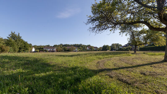 Heute noch Wiese, bald Bauland: Die Pläne für ein Seniorenzentrum in Notzingen werden immer konkreter. Ein Entwurf zeigt, wie da