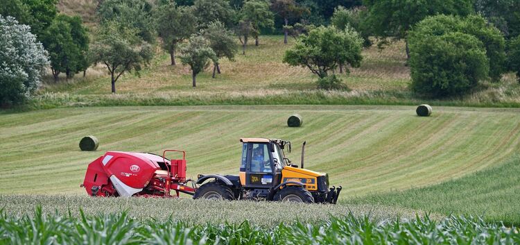 Kein seltenes Bild Ende Juli: Die Landwirte ernten die Felder in der Region ab. Fotos: Markus Brändli