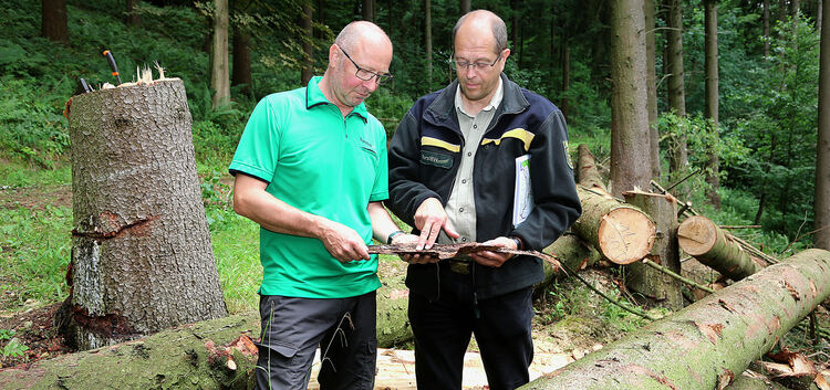 Der Klimawandel ist zum steten Begleiter der Forstexperten Anton Watzek (rechts) und Markus König geworden. Foto: Daniela Haußma