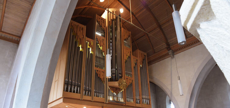 Martinskirche, Orgel, Reparatur, Renobierung, Sanierung, Orgelbauer,