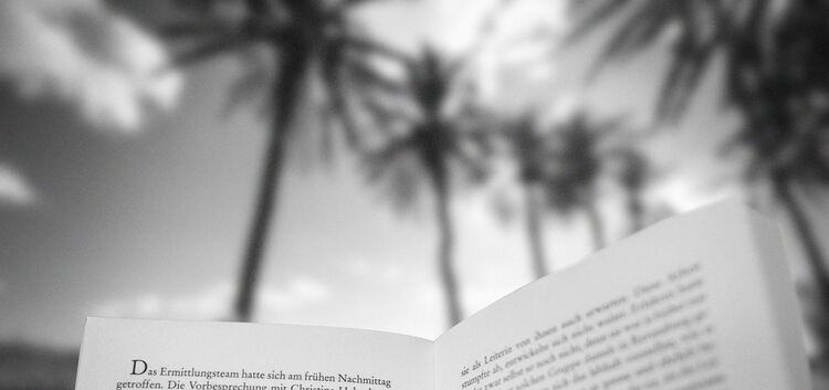 Ob unter Palmen eher der Krimi oder der Liebesroman gelesen wird, ist Typsache.Fotomontage: Carsten Riedl