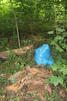 Nicht selten stoßen Waldbesitzer auf Müll, der in Plastiksäckenverpackt ist. Foto: Cornelia Wahl