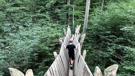 Über die Baumbrücke geht es rein in den Wald.Fotos: Bianca Lütz-Holoch