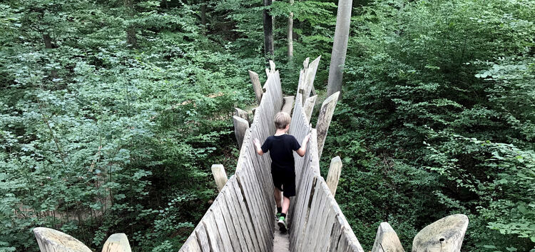 Über die Baumbrücke geht es rein in den Wald.Fotos: Bianca Lütz-Holoch