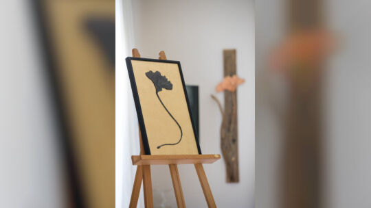 Treffen mit Ute Hauff, stellt Kunstwerke aus Fossilien her und hat in der Granada Gallery
