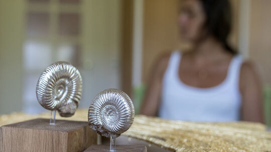 Treffen mit Ute Hauff, stellt Kunstwerke aus Fossilien her und hat in der Granada Gallery Treffen mit Ute Hauff, stellt Kunstwerke aus Fossilien her und hat in der Granada Gallery