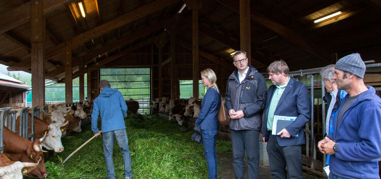 Grünfutter für die Kühe und Informationen für die Gäste gab es gestern auf der Ziegelhütte.Fotos: Mirko Lehnen