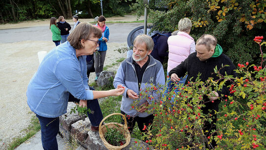 Im Naturschutzzentrum Schopflocher Alb entdecken Interessierte zusammen mit Ursula Sander die Welt der heimischen Kräuter.Fotos: Im Naturschutzzentrum Schopflocher Alb entdecken Interessierte zusammen mit Ursula Sander die Welt der heimischen Kräuter.Fotos: