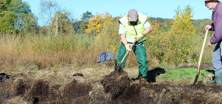 Mit Schaufel und Spitzhacke waren die freiwilligen Helfer beim Landschaftspflegetag im Schopflocher Moor im Einsatz.Foto: Sabrin