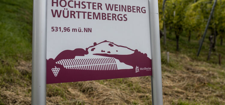 Das Schild an der Limburg lässt keinen Zweifel zu. Foto: C. Riedl