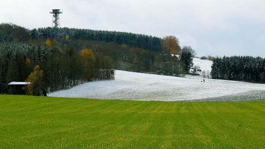 Schneeweißchen und Rasengrün
