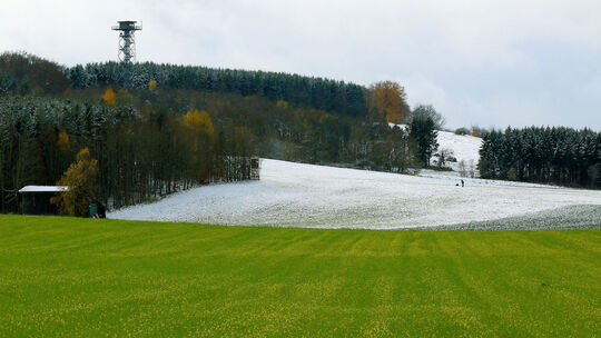 Schneeweißchen und Rasengrün Schneeweißchen und Rasengrün