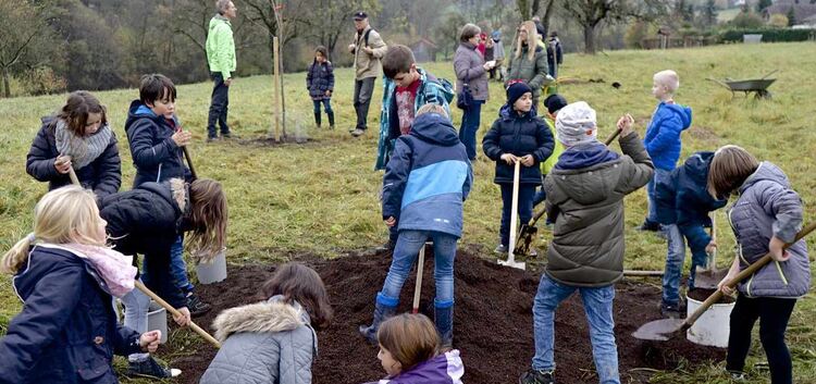 Einen Apfel-, einen Zwetschgen- und einen Nussbaum pflanzten die Schüler der Schafhof-Grundschule in ihrem Unterricht. Foto: pri