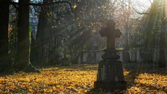 Friedhof Friedhof