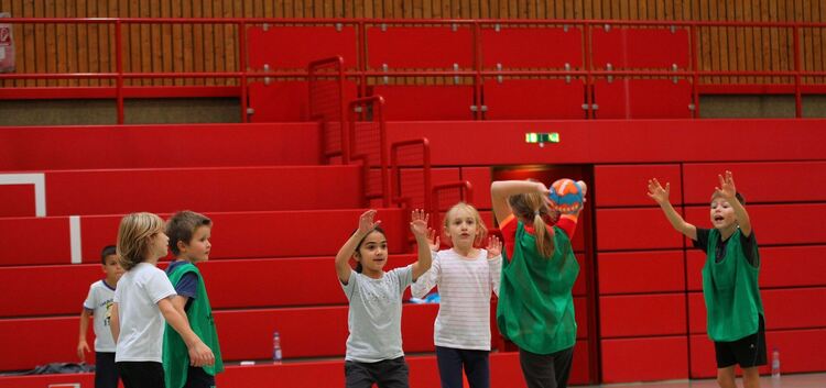 Die Handballverbände im Land wecken Lust auf ihren Sport. Am besten geht das an den Grundschulen.Foto: Christian Schlienz