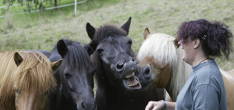 Die Pferdehalter in der Region rund um die Teck hoffen, dass sie in punkto Pferdesteuer weiterhin gut lachen haben.Archiv-Foto: