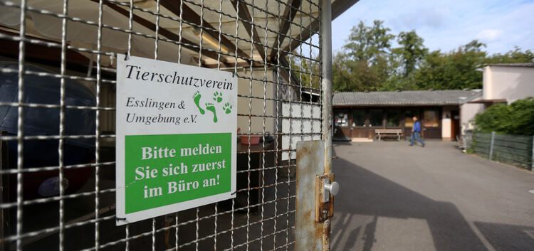 Der Skandal um das veruntreute Geld des Esslinger Tierschutzvereins ist jetzt juristisch aufgearbeitet.Foto: Roberto Bulgrin