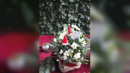 Mit einem Gartenfan durchs Jahr Mit einem Gartenfan durchs Jahr