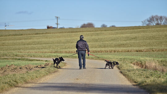 In der einen Hand die Hundeleine, in der anderen die Tüte: So soll‘s sein.Foto: Markus Brändli In der einen Hand die Hundeleine, in der anderen die Tüte: So soll‘s sein.Foto: Markus Brändli
