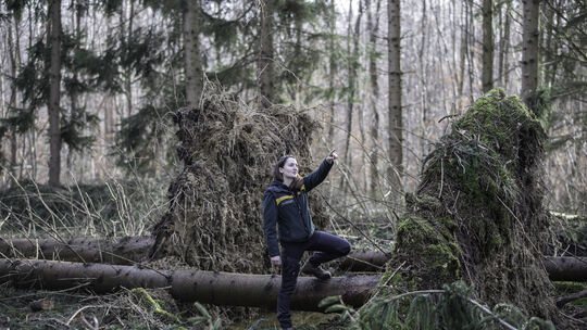 Carla Hohberger inmitten der von Tief Burglind gefällten Fichten. Fotos: Jean-Luc Jacques
