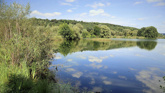 Letzte Zeugen eines umfangreichen Kiesabbaus in der Talaue des Neckarbeckens: die Wernauer Baggerseen. Archiv-Foto: Haußmann