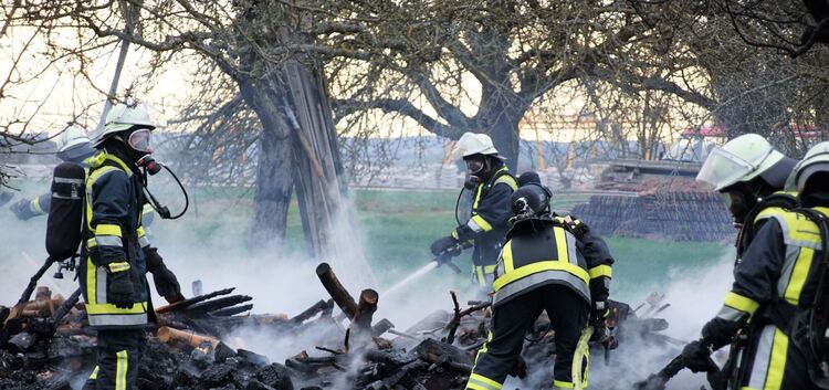 Vom abgebrannten Holz war nichts zu retten.Foto: SDMG/Krytzner