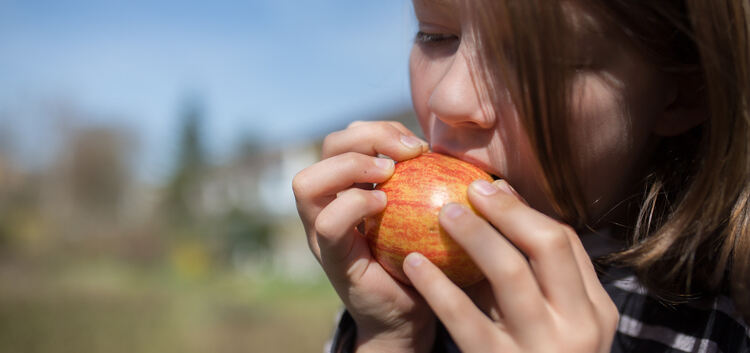 Kraftvoll in einen Apfel reinzubeißen, ist verlockend. Doch sollte das Obst nicht von fremden Wiesen stammen.Symbolfoto: Carsten