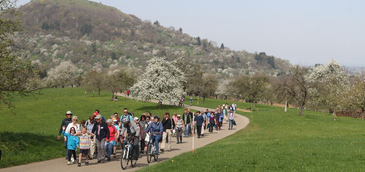 Der Kirschblütentag ist ein Publikumsmagnet. Nun wird er von der Stadt organisiert.Foto: Jörg Bächle