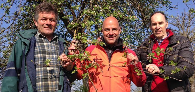 Der Hattenhofener Obstbauer Martin Läpple (links) mit Wetterreporter Michael König und Uwe Gradwohl von der SWR-Apfelblütenaktio