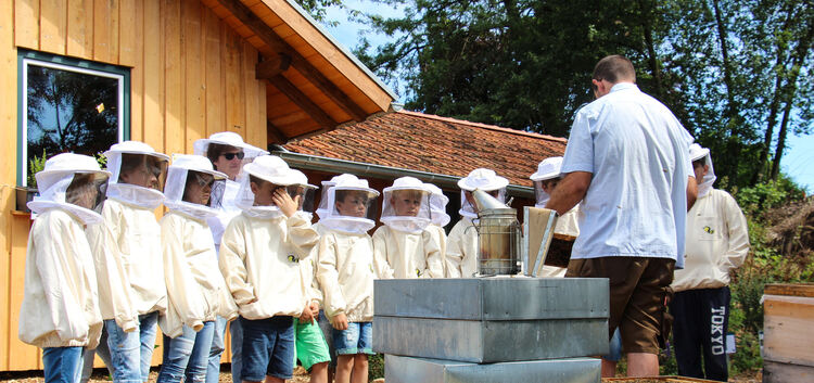 Bereits ausverkauft ist das Seminar über Bienen. Foto: pr