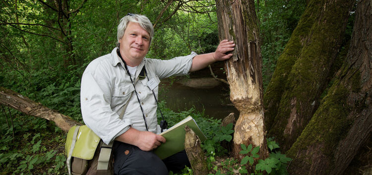 Uwe Hiller zeigt einen stark abgenagten Baum, an dem sich ein Biber zu schaffen gemacht hat.Foto: Bulgrin