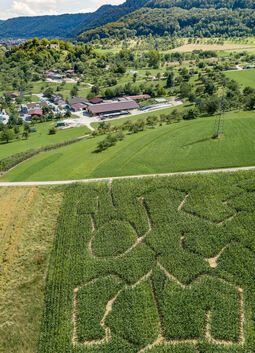 Ein Schild zwischen Owen und Brucken (kleines Foto) weist auf das Maislabyrinth am Unterlenninger Sulzburghof hin. Schlaufüchse