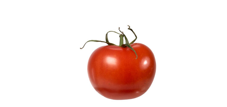 Tomaten Rot Tomate