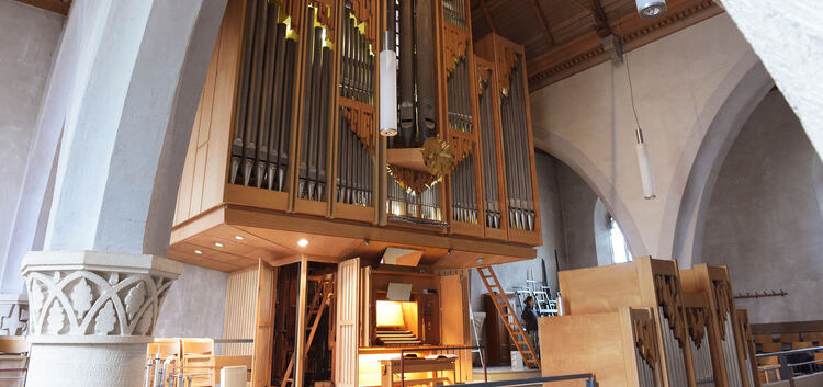 Martinskirche, Orgel, Reparatur, Renobierung, Sanierung, Orgelbauer,