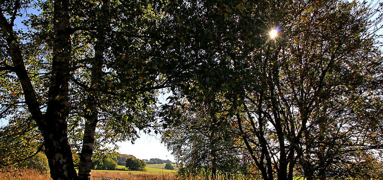 Oktobersonne im Schopflocher Moor, 06.10.11, Ruoff