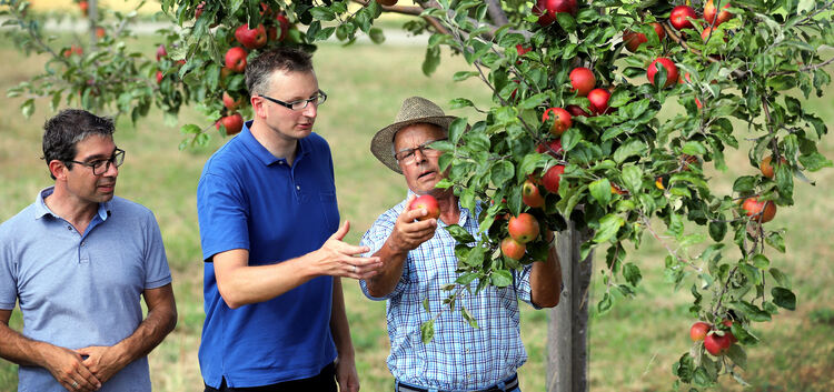 Andre Baumann und Andreas Schwarz lassen sich von Rudolf Thaler (von links) die alten Obstsorten erklären. Fotos: Jean-Luc Jacqu