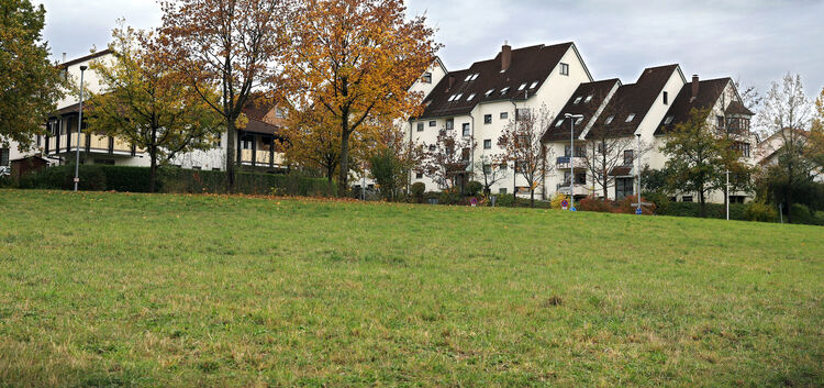 Diese grüne Wiese soll sich spätestens 2020 stark verändern: Insgesamt vier neue Wohngebäude will die Stadt Kirchheim im Gebiet