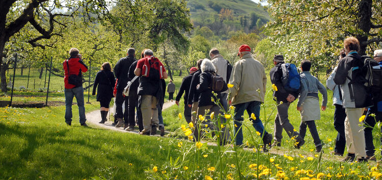 Mit den Wanderungen der Schwäbischen Landpartie lassen sich zu Fuß so einige schöne Flecken entdecken.Archiv-Foto: Markus Brändl