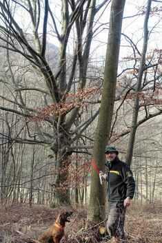 Förster Markus König markiert die Bäume im Neidlinger Wald, die gefällt werden.Foto: pr