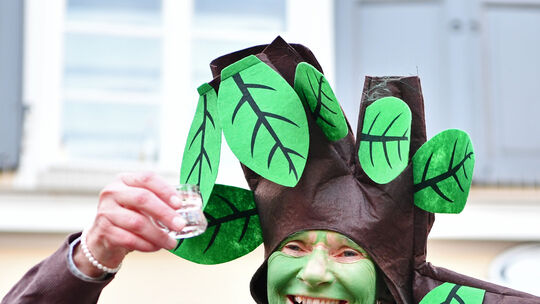Rathaussturm, Fasnet, Fasching, Kloster Deifel,