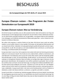 FDP Wahlprogramm