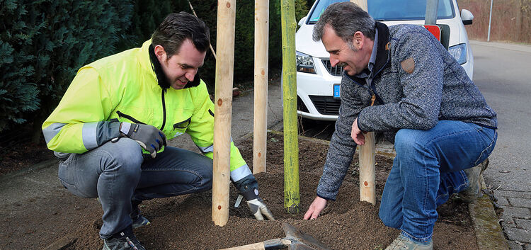 Philipp Köber (links) und Richard Messerle empfehlen, bei frisch gepflanzten Bäumen einen Gießring anzulegen. Dafür wird in Ball