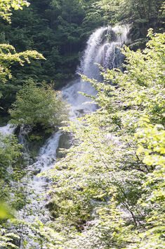 Der Neidlinger Wasserfall führt derzeit viel Wasser und ist ein tosendes Erlebnis.Fotos: Peter Dietrich