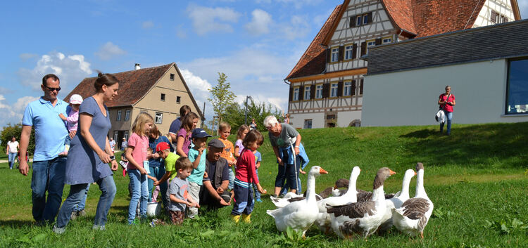 Am Familientag im Freilichtmuseum Beuren werden wieder mehrere Tierfütterungstermine angeboten.Foto: pr