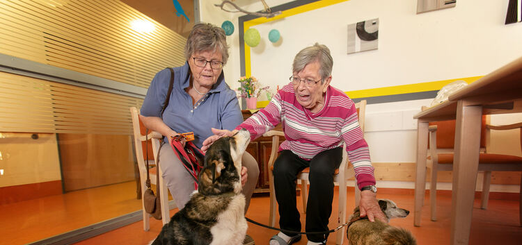 Helga Maier (links) besucht mit ihren Hunden Senioren im Haus Melchior.Foto: Roberto Bulgrin
