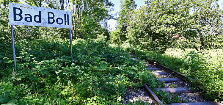 Das Bahnhofsschild von Boll steht noch, die Gleise sind überwuchert. Der Förderverein „Ein neuer Zug im Kreis“ will die Weichen