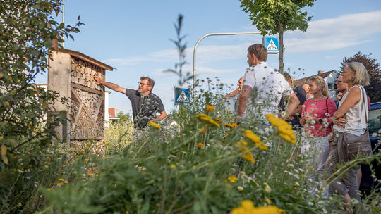 Die Stadt Kirchheim setzt seit einiger Zeit verstärkt auf Blühflächen, auf denen auch „Insektenhotels“ aufgestellt werden - Holz