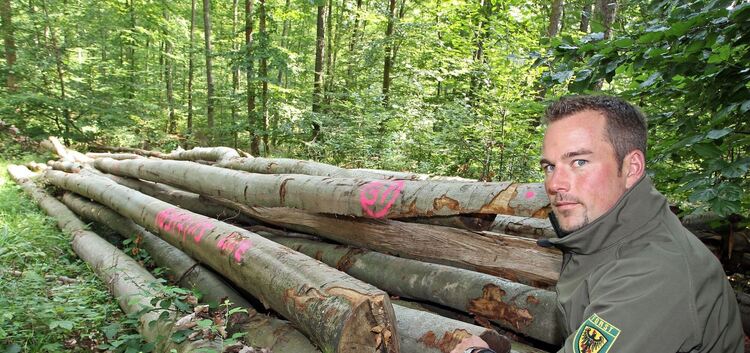 Stadtförster Jens Denzinger an einem Holzpolder im Distrikt Balkishau auf dem Schurwald. Bald kann es sein, dass zum Schutz vor