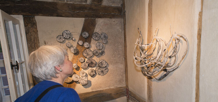 Kunstwerke aus Papier von Barbara Wünsche-Kehle sind im Oberlenninger Schlössle zu sehen. Foto: Peter Dietrich