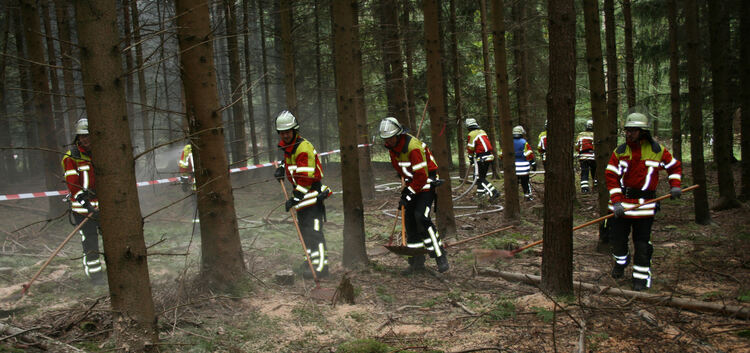 Besser vorbereitet sein: Die Feuerwehren aus dem Lenninger Tal bei einer Waldbrandübung vor vier Jahren.Foto: privat